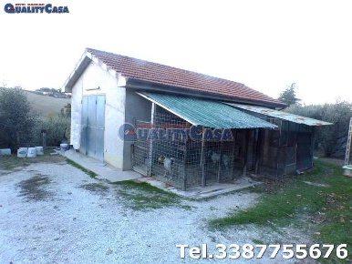 Foto Terreno agricolo in Contrada Bertineschi, Morro d'Alba di 10000 m²