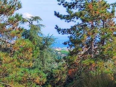 Foto Appartamento in Via Savagna  30, Rapallo San Pietro - Savagna di 90 m²