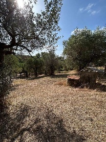 Foto Terreno agricolo in Via Astura, Lanuvio Centro di 1935 m² in vendita