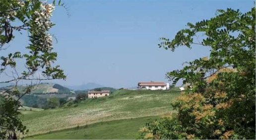 Foto Capannone industriale in Ca' L'ajola, Urbino Centro con 1 locali