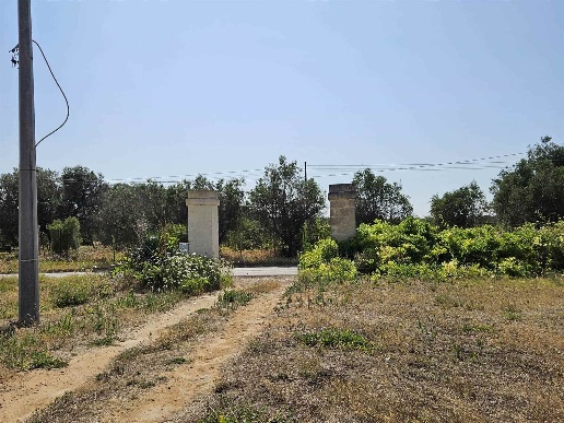 immagine annuncio 7 di 9
