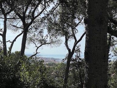 Foto Appartamento in Via Tiziano 4, Rosignano Marittimo Castiglioncello