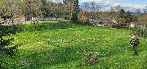 immagine annuncio 5 di 8