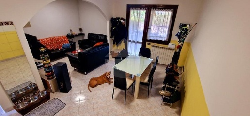 immagine annuncio 1 di 14