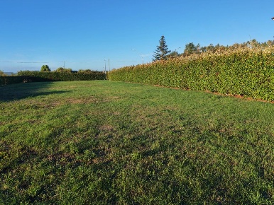 Foto Terreno residenziale a Ponsacco di 1100 m² in vendita