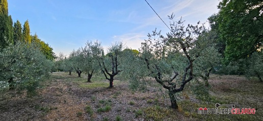 Foto Terreno a Colle di Val d'Elsa Abbadia, Campolungo di 2250 m²