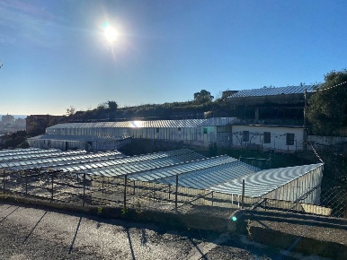 Foto Terreno edificabile in Via Beglini 137, Taggia Centro di 40 m²