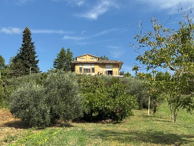 Foto Casa indipendente a Rapagnano di 330 m² con 15 locali in vendita