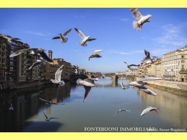 Foto Ristorante in PONTE VECCHIO, Firenze Signoria - Uffizi di 120 m²