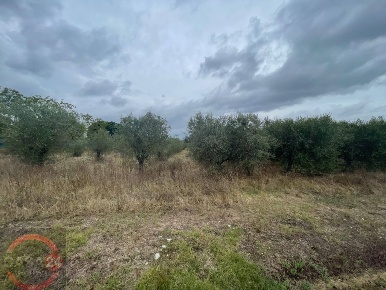 Foto Terreno agricolo in via dell'anatra, Latina di 5860 m² in vendita
