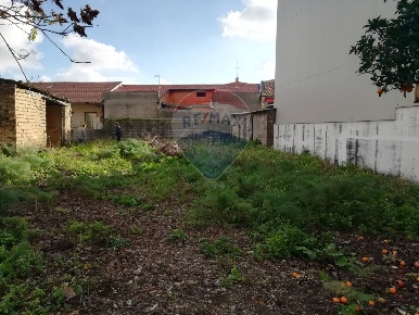 Foto Terreno residenziale in via Gorizia, Belpasso Centro di 768 m²