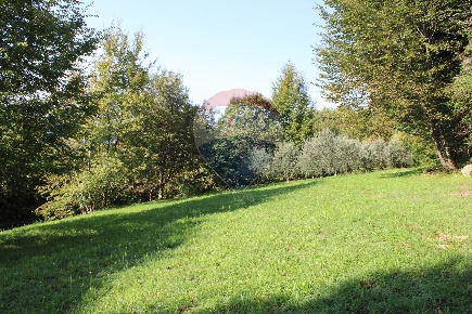 Foto Terreno agricolo in via Foppa, Almenno San Bartolomeo di 6200 m²