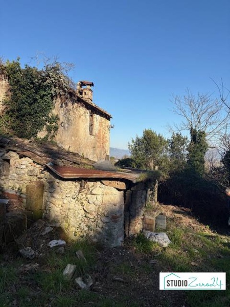 immagine annuncio 6 di 11