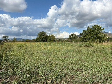 Foto Terreno residenziale a Capua Centro di 3862 m² in vendita