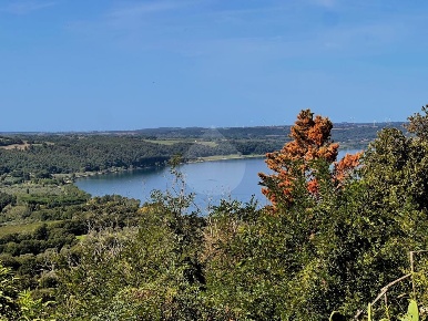 Foto Rustico in VIA COSTE, Montefiascone di 82 m² in vendita