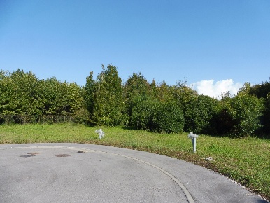 Foto Terreno residenziale in Via Santa Romana 10, Schiavon Centro