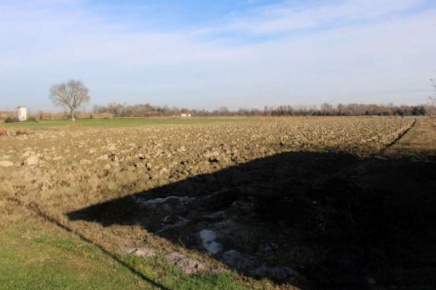 Foto Terreno agricolo in Via Atinate, Venezia Aeroporto - Ca' Noghera