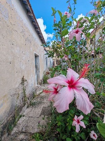 Foto Casa indipendente a Dolianova di 100 m² con 6 locali in vendita