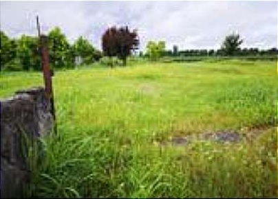 Foto Terreno agricolo in Via Donatello, Leno di 31745 m² in vendita