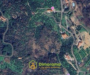 Foto Terreno agricolo in località La Piana 4, Montecatini-Terme di 25000 m²