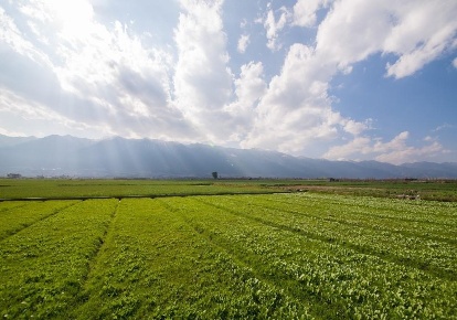 Foto Terreno agricolo a Carrara Avenza di 1130 m² in vendita