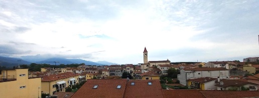 immagine annuncio 13 di 14