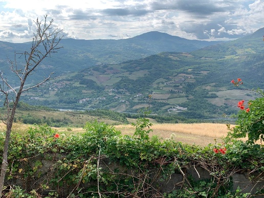 immagine annuncio 13 di 14