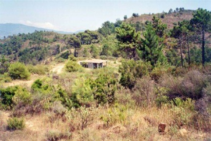 Foto Terreno edificabile a Camporosso Centro di 17998 m² in vendita