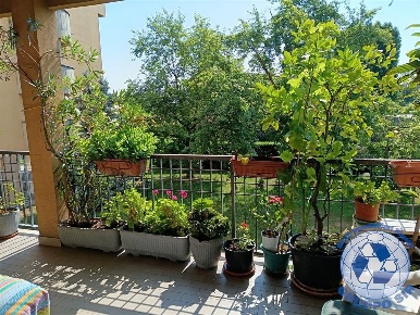 Foto Appartamento in via monte grappa, Monza San Rocco di 114 m² in vendita