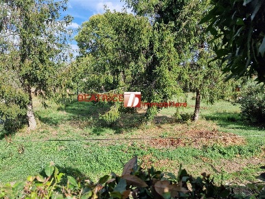 Foto Villa bifamiliare in VIA PER S. ALESSIO, Lucca di 160 m² con 8 locali