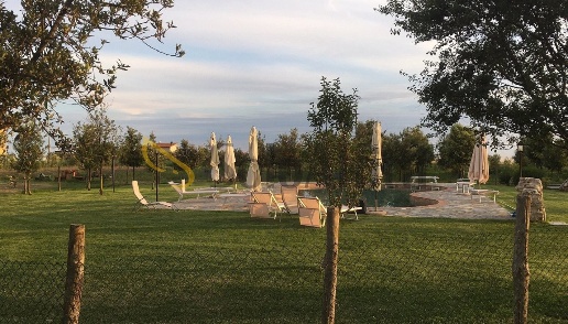 immagine annuncio 7 di 9