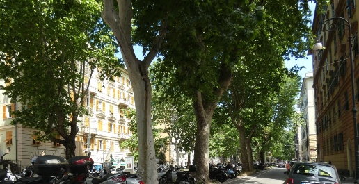 Foto Appartamento in Corso Torino, Genova Foce di 90 m² con 6 locali