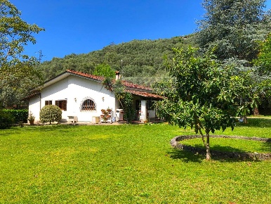 Foto Villa singola a Pietrasanta di 150 m² con 7 locali in vendita