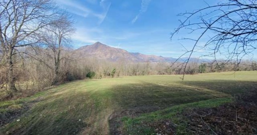 Foto Terreno agricolo in Località Rosta, Rosta di 57083 m² in vendita