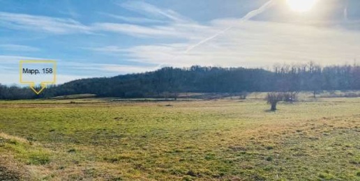 Foto Terreno agricolo in Località Rosta, Rosta di 54313 m² in vendita