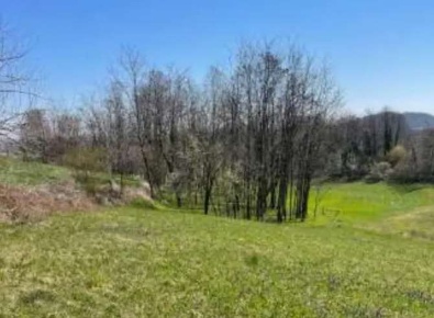 Foto Terreno agricolo in Localita' Gamba, Monte di Malo di 29968 m²