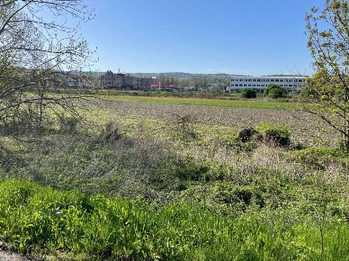 Foto Terreno edificabile in Via Musiné, Rosta di 15415 m² in vendita