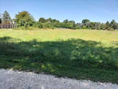 Foto Terreno agricolo in via Gerenzano, Castellanza di 3400 m² in vendita