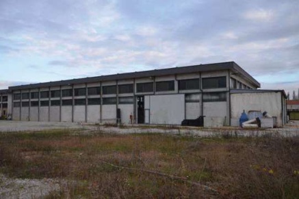 Foto Appartamento in via del Santo, San Giorgio delle Pertiche Centro