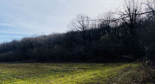 Foto Terreno agricolo in Località Rosta, Rosta di 19951 m² in vendita