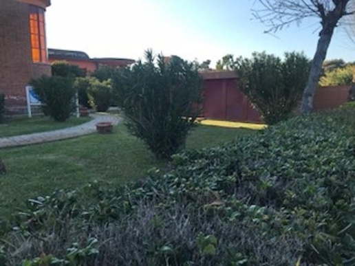 immagine annuncio 1 di 6