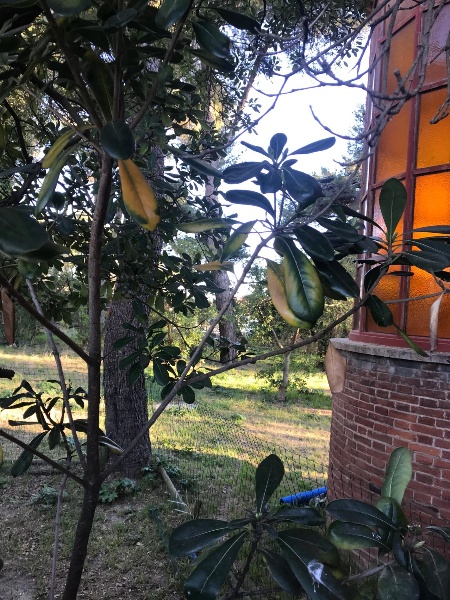 immagine annuncio 5 di 6