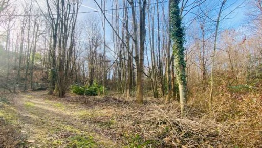 Foto Terreno agricolo in Località Rosta, Rosta di 5632 m² in vendita