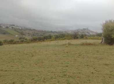 Foto Terreno agricolo in Via Castiglionese, Fermo Centro di 5070 m²
