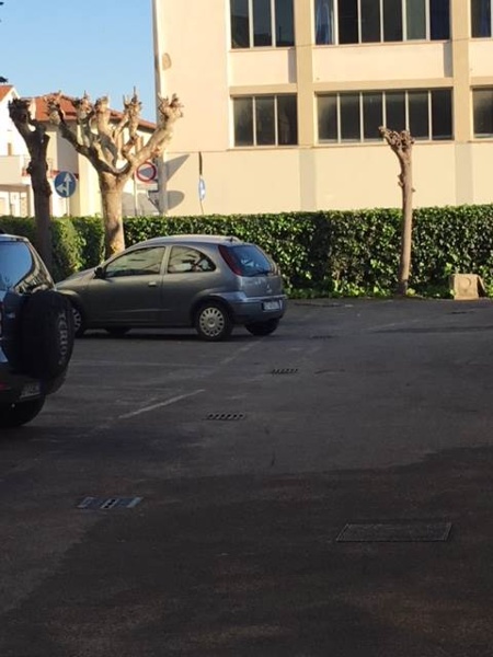 immagine annuncio 14 di 15