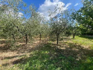 Foto Terreno agricolo a Pistoia Candeglia di 4000 m² in vendita
