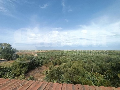 Foto Casa indipendente in Strada Statale 115 30 /32/36, Misiliscemi