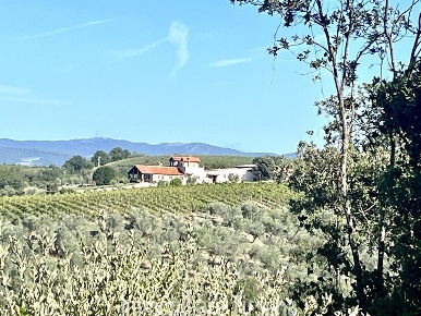 Foto Cessione attività a Montecchio in vendita