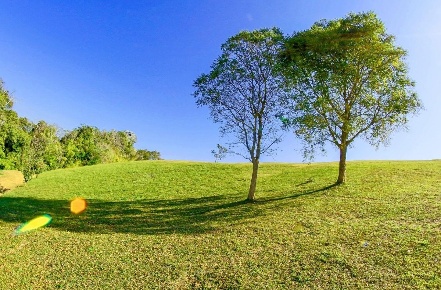 Foto Terreno agricolo a Santa Maria a Monte di 6500 m² in vendita