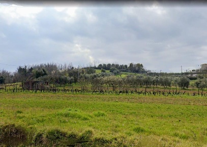 Foto Terreno residenziale a Casciana Terme Lari Boschi di 2230 m²